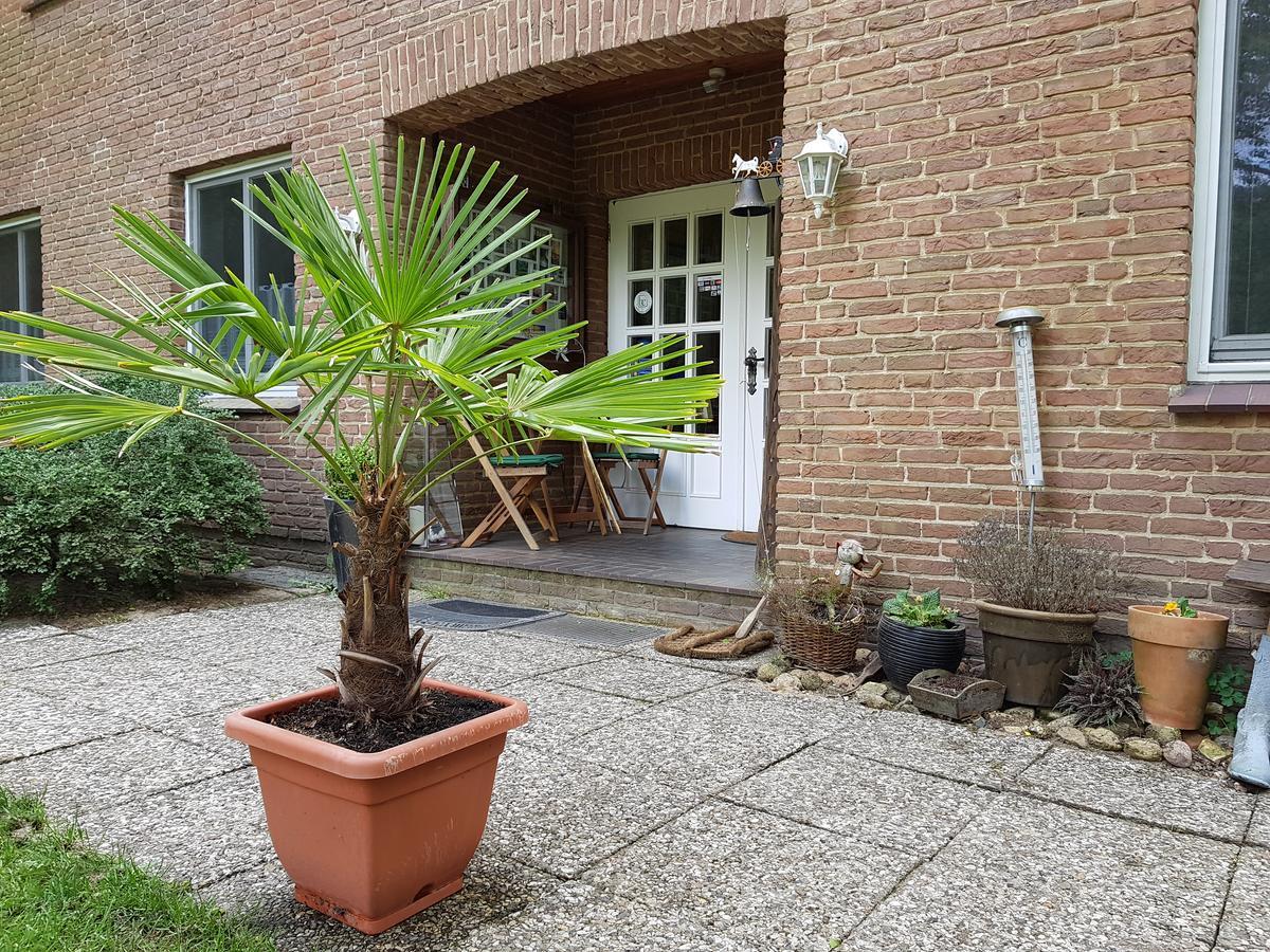 Pension 'Das Kleine Landhaus' Oberhaverbeck Exteriör bild